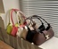 Seline Handbag