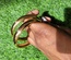 Midi Gold Bangles