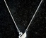 Swan Necklace