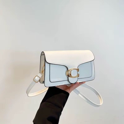 C-OACH Bag (White)