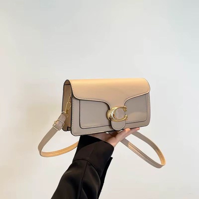 C-OACH Bag (Khaki)