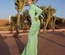 Diani Dress